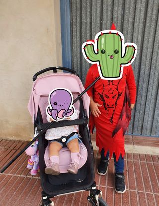 Bugaboo cameleon