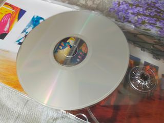 CD Raf Collezione Temporanea