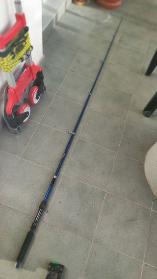 Caña para la pesca de la carpa de 2,10 mt