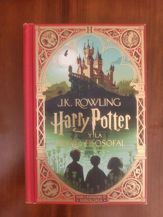 Libro Harry Potter