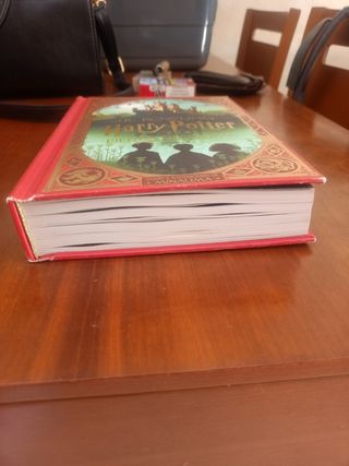 Libro Harry Potter