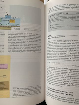 Biología de los microorganismos