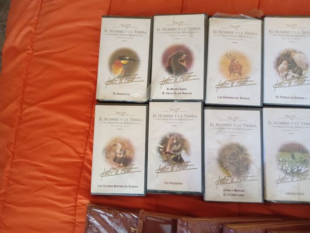 Fauna ibérica feliz Rodríguez de la fuente