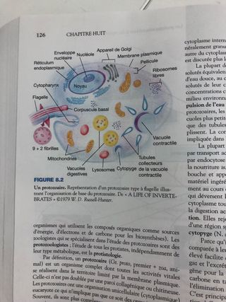 Zoologie libro de zoologia frances Miller Harley