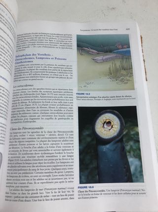 Zoologie libro de zoologia frances Miller Harley