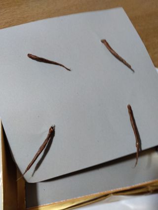 Decorazione natalizia . Vintage