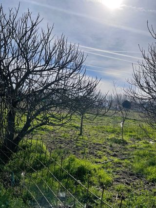 Terreno en Coria 