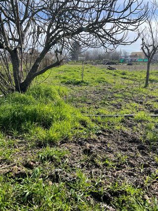 Terreno en Coria 