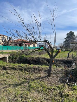 Terreno en Coria 
