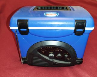 ❄️Nevera portátil pequeña