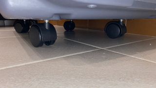 Transportador perro, gato certificado IATA