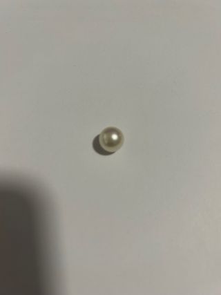 perla australiana