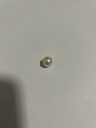 perla australiana