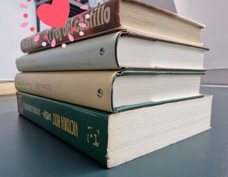 LOTE 4 libros VICTORIA HOLT