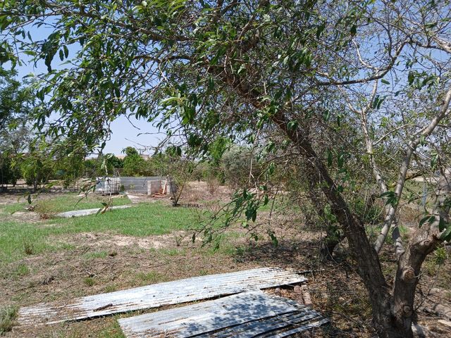 Terreno parcela en las Torres de Cotillas