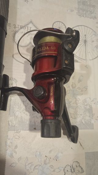 caña de pescar y carrete