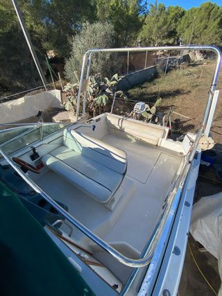 Embarcación Sea Ray 220 DA 7.25m eslora.