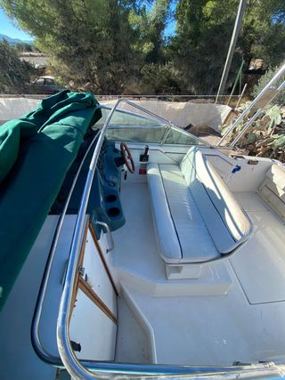 Embarcación Sea Ray 220 DA 7.25m eslora.