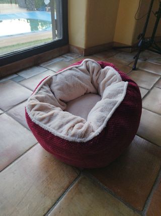 Cama de gato