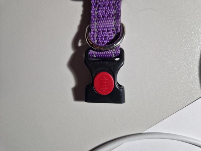 Collar cierre seguridad y reflectante talla S