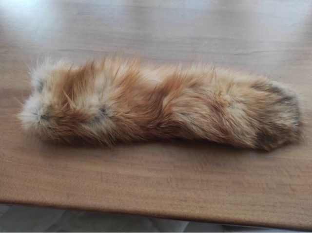 colli di pelliccia di volpe