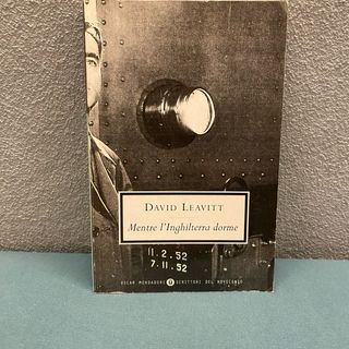 Libro Mentre l’Inghilterra dorme di David Leavitt