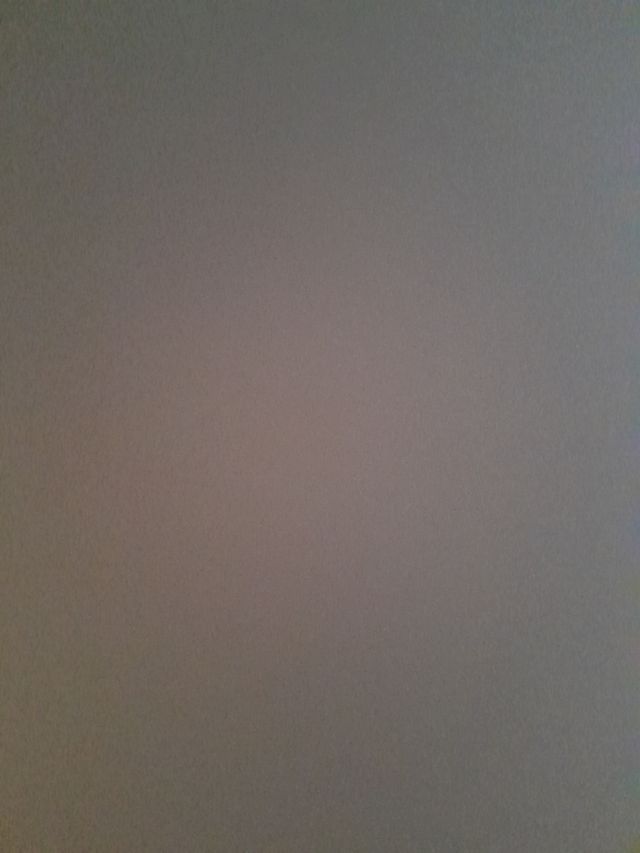 Vassoio Rosenthal sanssouci 