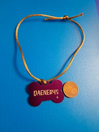 Placa identificativa mascota