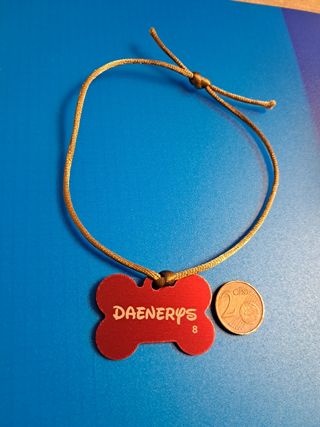 Placa identificativa mascota