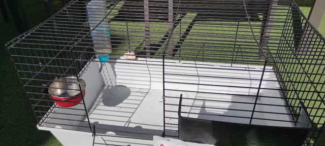 Jaula mas accesorios conejos