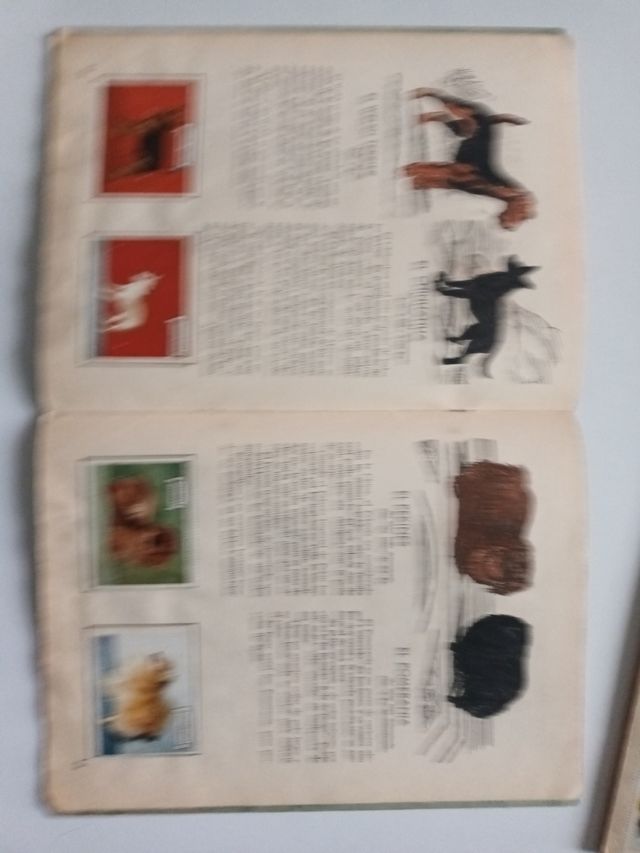 ALBUMS DE CROMOS ANTIGUOS