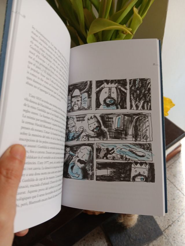 La veritable história de Harald Bluetooth 