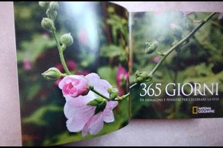 365giorni di immagini e pensieri