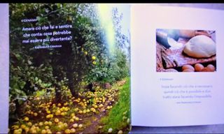 365giorni di immagini e pensieri