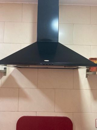 HORNO PLACA Y EXTRACTOR