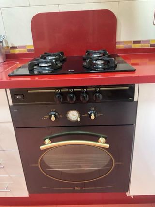 HORNO PLACA Y EXTRACTOR