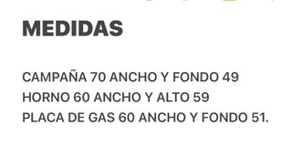 HORNO PLACA Y EXTRACTOR