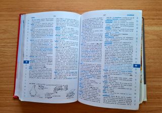 Diccionario francés nivel básico