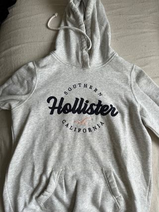 Sudadera Hollister