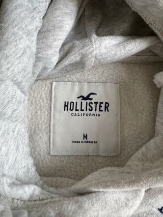 Sudadera Hollister