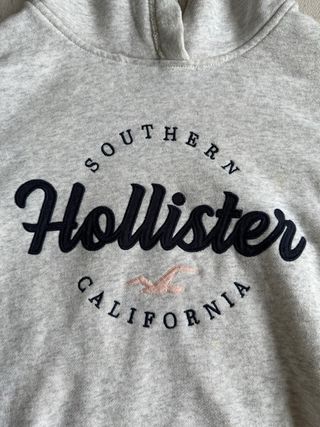 Sudadera Hollister