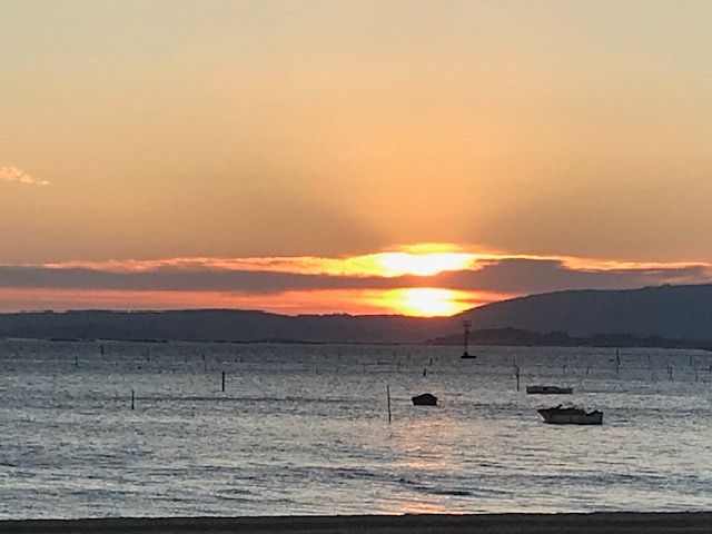 Parques de Cultivo carril