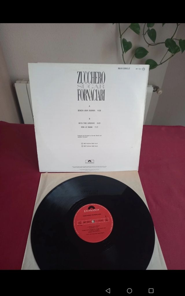 Zucchero Sugar Fornaciari - Senza Una Donna. 1987
