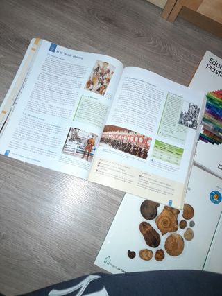 Lot  llibres 4 ESO Biologia Socials Pla