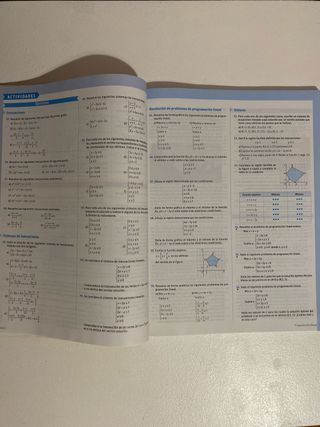 Matematicas aplicadas a las ciencias sociales II
