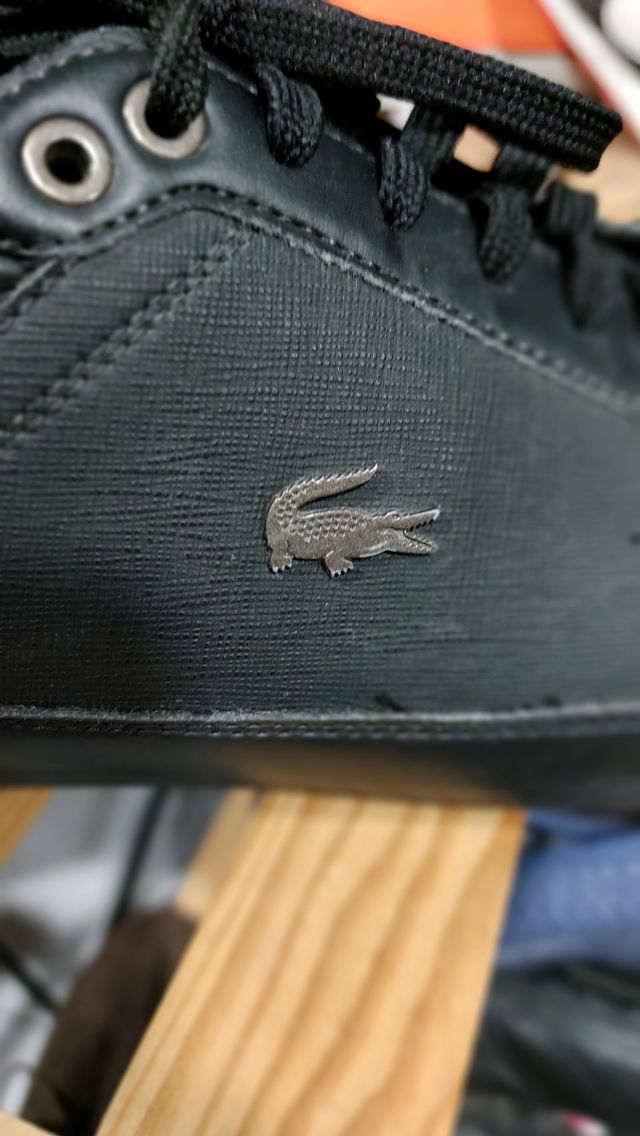 LACOSTE 43