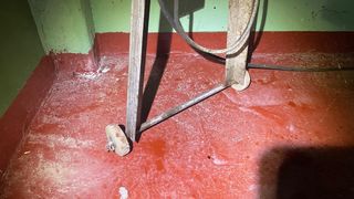 Makina Rallar aceitunas