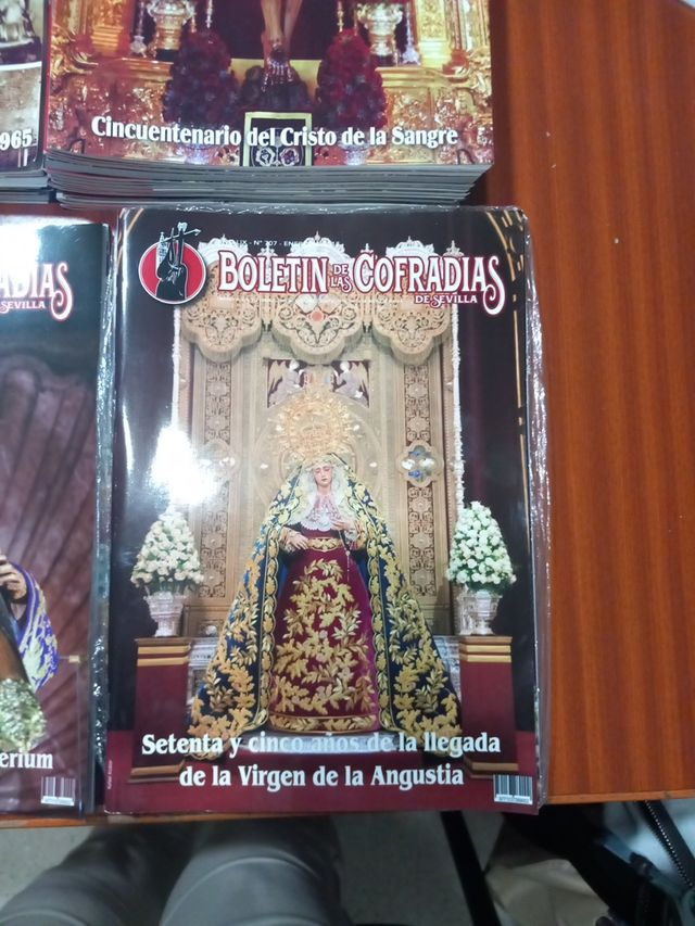 BOLETIN COFRADIAS SEVILLA 100 euros 39 revistas