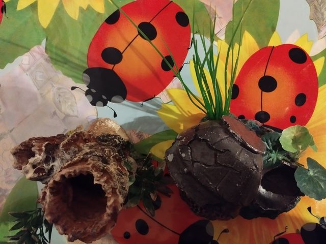 Figuras pecera con Perlón para filtrado de regalo