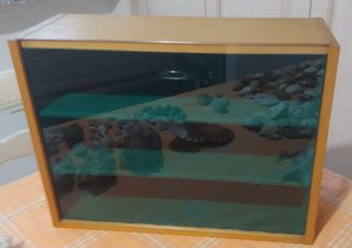 Conchiglie, vetrinetta e libro